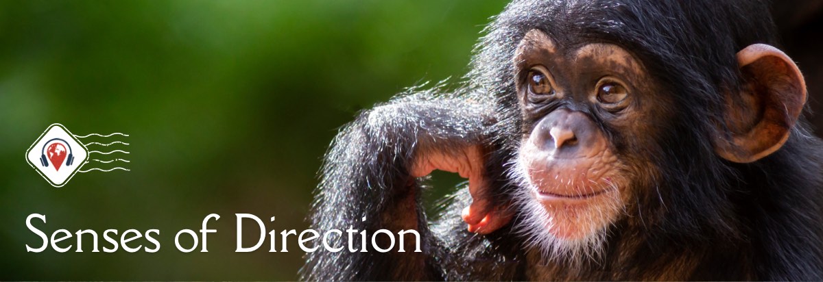 Jane Goodall’s travel writing, British ghosts, and Switzerland’s entitled cats