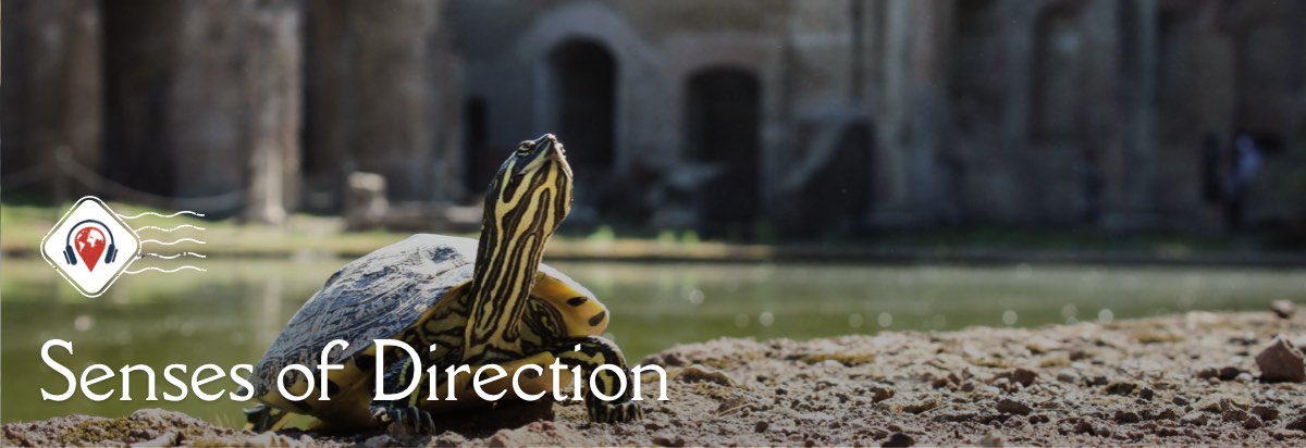 Rome’s wolves and river crabs, sonic violence in Korea, plus Mandela’s mark on the world